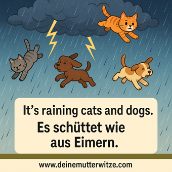 It's raining cats and dogs. Es schüttet wie aus Eimern.