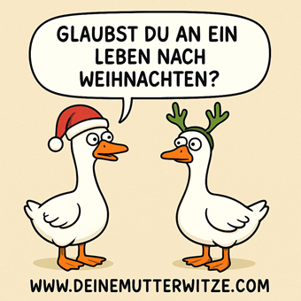 Weihnachtswitze